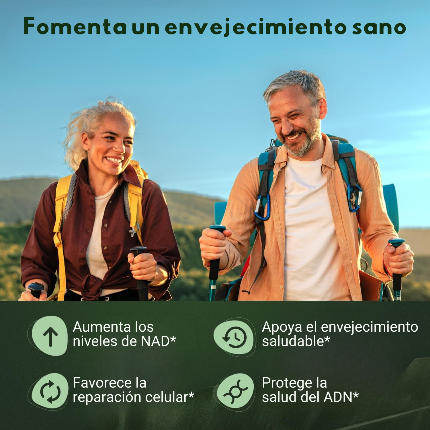 Alt Image